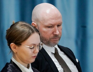 Miniatura: Breivik chce skrócenia czasu izolacji....