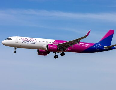 Miniatura: Polacy zyskają nowe połączenia. Wizz Air...