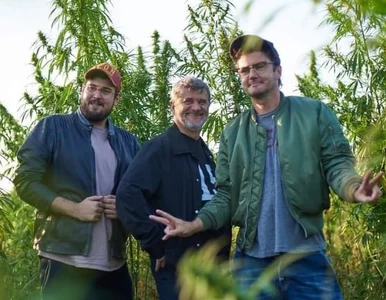 Miniatura: Wojewódzki i Palikot złamali prawo?...