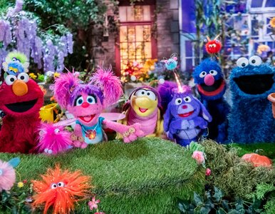 Miniatura: Legendarna „Ulica Sezamkowa” znów ożyje na...