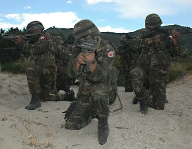 Miniatura: Turecka armia będzie nadal zwalczać Kurdów...