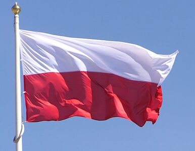 Miniatura: Będzie nowa granica polsko-niemiecka?
