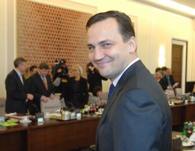 Miniatura: Komisja nie zbada czy Sikorski zaniedbuje...