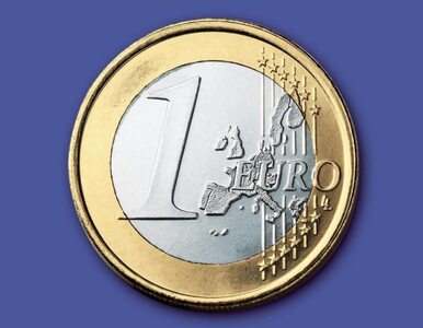 Miniatura: Estonia dołącza do strefy euro