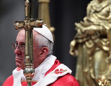 Miniatura: Papież Franciszek: usuńcie mój pomnik!