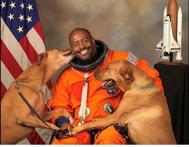 Miniatura: Astronauta i jego psy hitem internetu