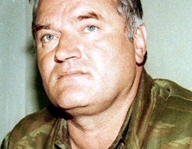 Miniatura: Trybunał wyprasza Mladicia z sali rozpraw