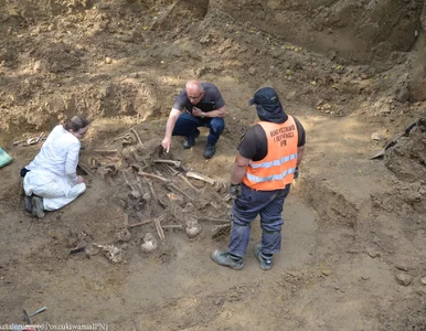 Miniatura: Ostry apel rabinów. Żądają natychmiastowej...