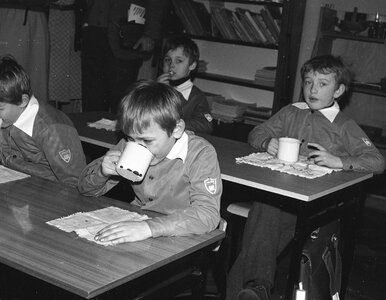 Miniatura: QUIZ. Pamiętasz jedzenie z czasów PRL-u?...