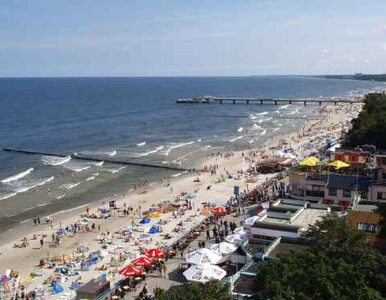 Miniatura: Polskie plaże wypełnione wczasowiczami