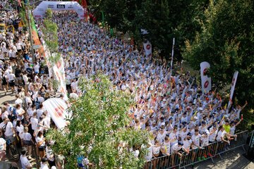 Poland Business Run 2025