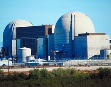 Miniatura: Elektrownie jądrowe za pasem