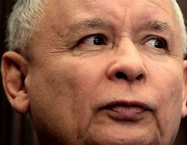 Miniatura: Kaczyński: nagrania Sikorskiego to tylko...