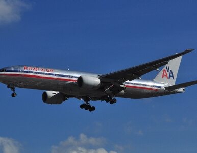 Miniatura: Bankructwo American Airlines. Firma prosi...