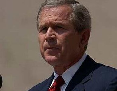 Miniatura: Bush wierzy w gospodarkę USA