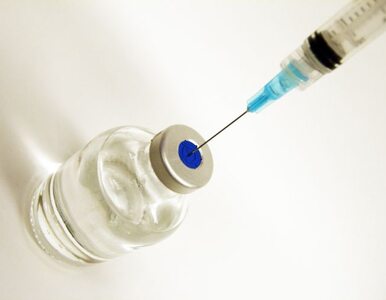 Miniatura: Testy szczepionki na ebolę w Gwinei. 100...