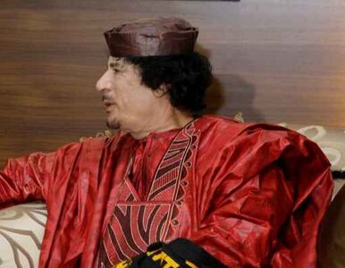 Miniatura: "Kadafi nadal wierzy, że odzyska władzę"