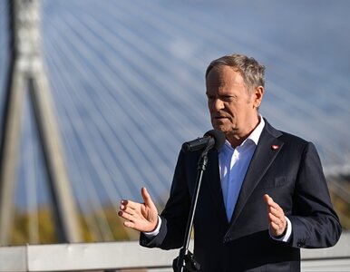 Miniatura: Tusk zapowiada nową inwestycję. „Możemy”
