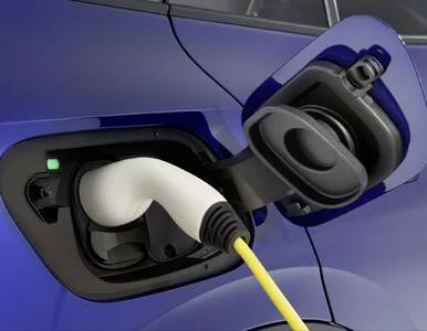 Miniatura: STAGEV to niezawodność i realna korzyść...