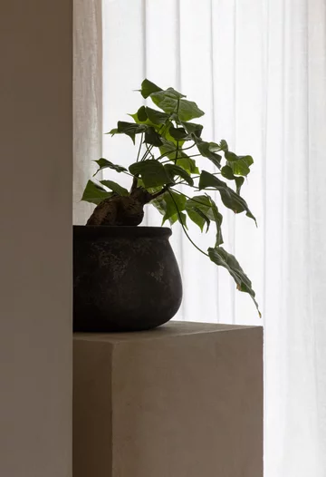 Dom własny architekta Frederika Wernera, współwłaściciela pracowni Norm Architects Norm Architects, Frederik Werner