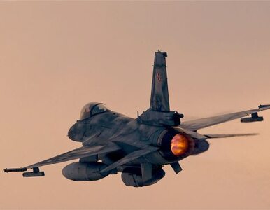 Miniatura: Dreamliner wylądował w Warszawie, F-16 nie...