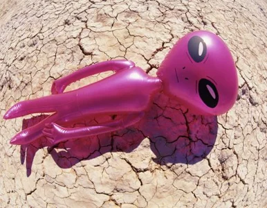 Miniatura: Wielkiej Brytanii UFO nie straszne