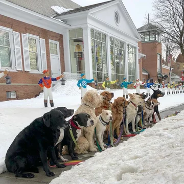 Saratoga Dog Walkers opiekują się psami 