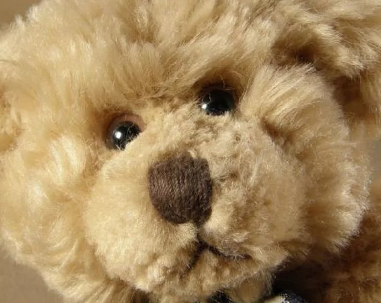 Miniatura: Niemieccy grzybiarze wystraszyli się......