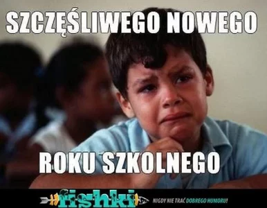 Miniatura: Wesoło nie jest. Tak internauci widzą...