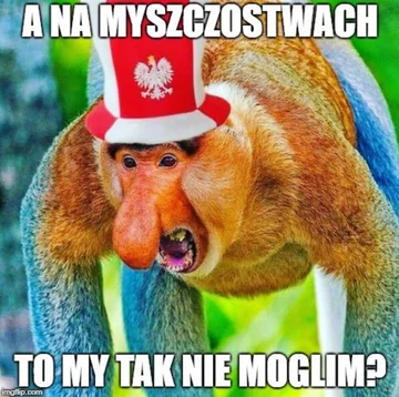 Mem po meczu Włochy - Polska 