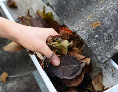 Miniatura: Czyścisz rynny jesienią? 8 błędów, przez...