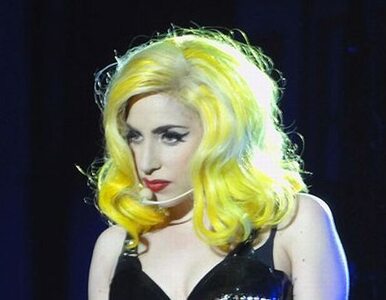 Miniatura: Fałszywe bilety na koncert Lady Gaga - nie...