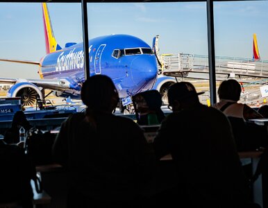 Miniatura: Pasażerowie plus size zapłacą za drugi...