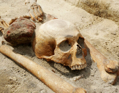 Miniatura: Kto leży na "przeklętym cmentarzu" w...