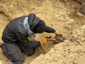 Poszukiwania szczątków zakonnic na cmentarzu w Ornecie 