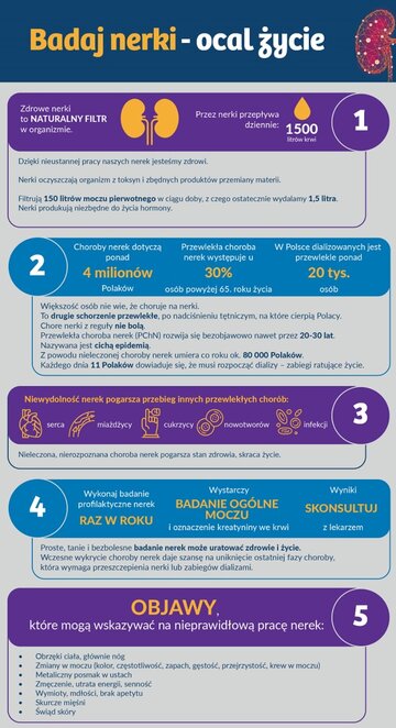 Światowy Dzień Nerek &ndash; infografika