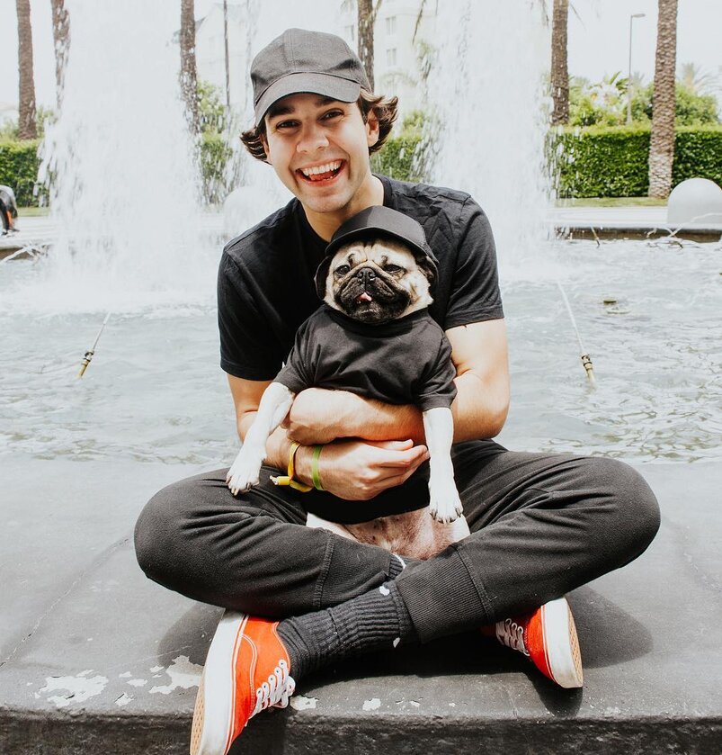 David Dobrik 