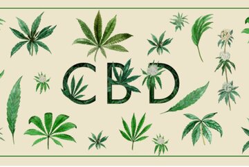 CBD co&nbsp;to&nbsp;jest?