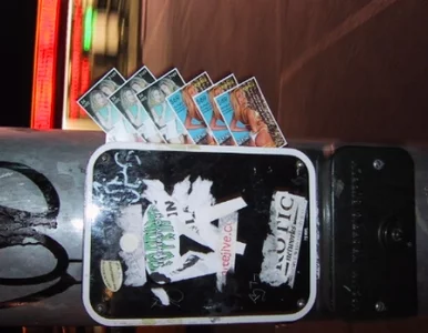 Miniatura: Katowicka prostytutka zarobiła 14 milionów...