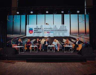 Miniatura: Polska Moc Biznesu