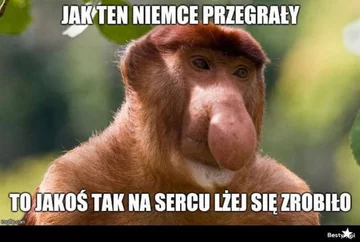 Memy po meczu Polska-Anglia 