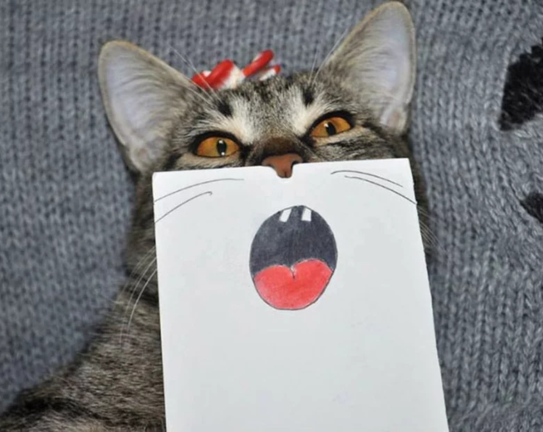 Miniatura: Koty z komiksowymi oczami i ustami?...