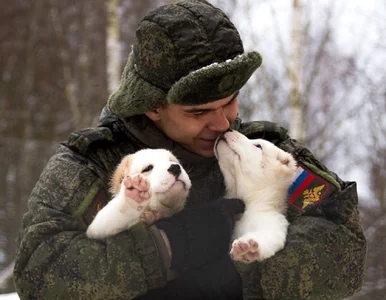 Miniatura: Rosyjski MON składa osobliwe życzenia....