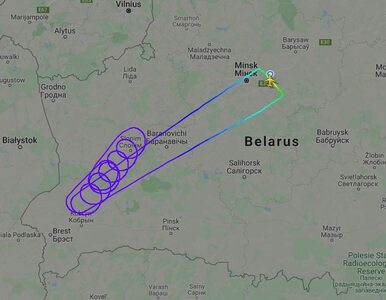Miniatura: Samoloty białoruskich linii normalnie...
