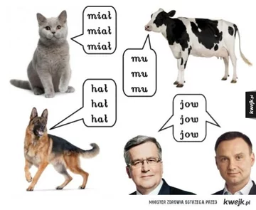 fot. kwejk.pl