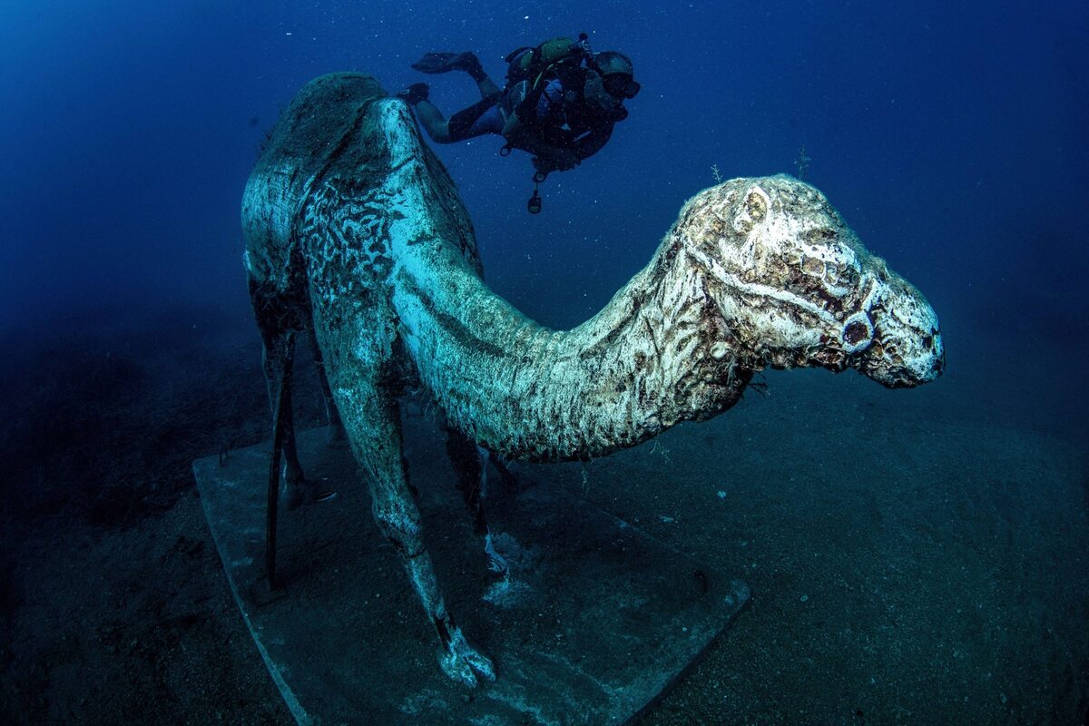 Rzeźba wielbłąda w Side Underwater Museum 