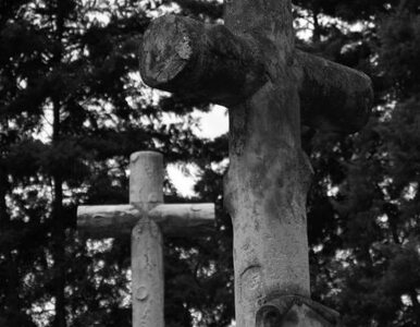 Miniatura: Historyczny cmentarz wojenny zdewastowany