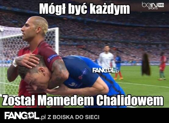 Memy po finale Euro 2016 (fangol.pl) 