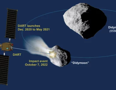 Miniatura: NASA i SpaceX uratują Ziemię? Zestrzelą...