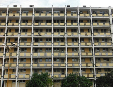 Miniatura: Warszawski blok antybohaterem serialu...